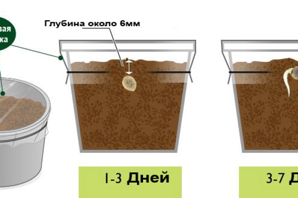 Кракен актуальная ссылка на сегодня