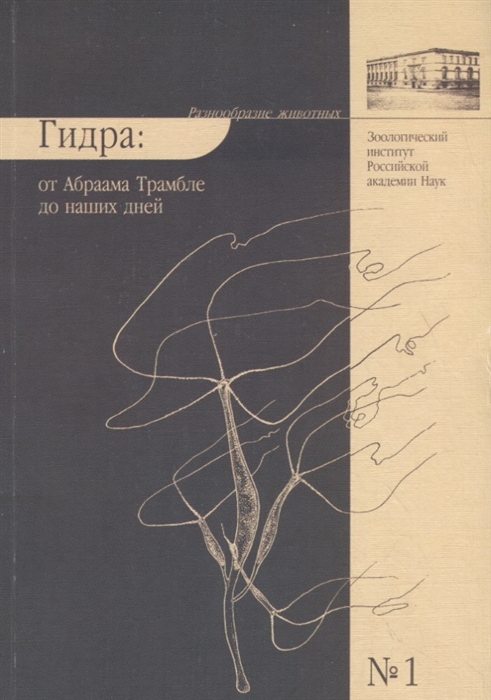 Что за площадка кракен